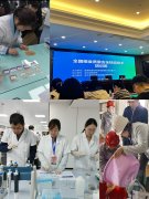 核心对粮食质量平安检测最新尺度、操做要点取
